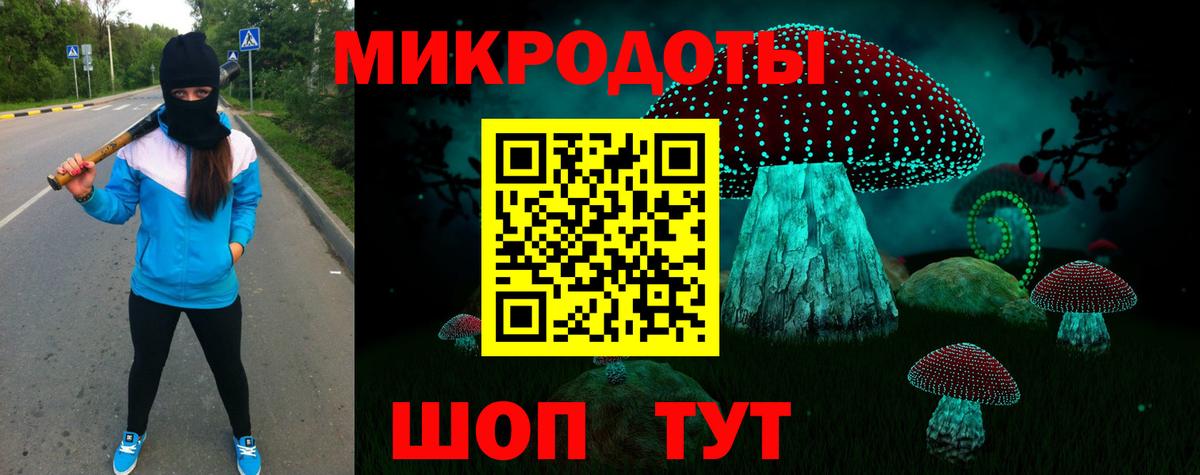 Псилоцибиновые грибы Psilocybe Всеволожск
