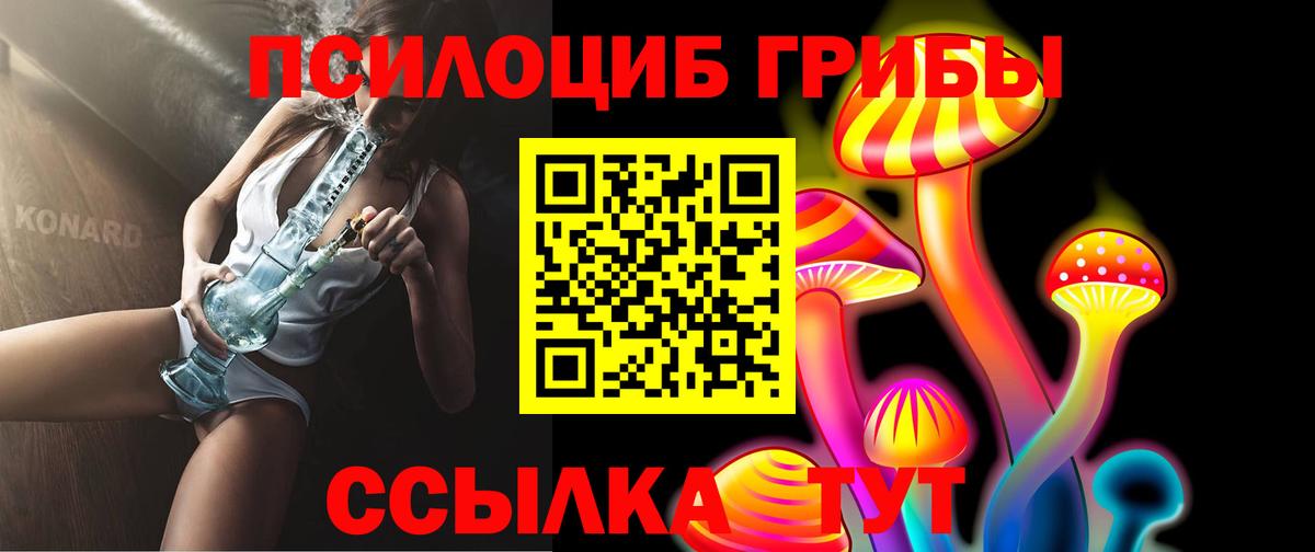 Галлюциногенные грибы MAGIC MUSHROOMS  Вход с VPN  Всеволожск 